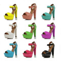 New Design High Heel Lady Summer Sandals (S14)